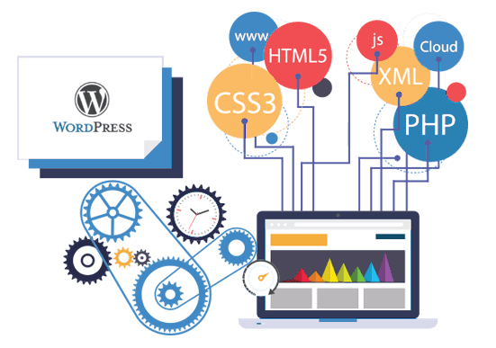 webcoir website Designing services